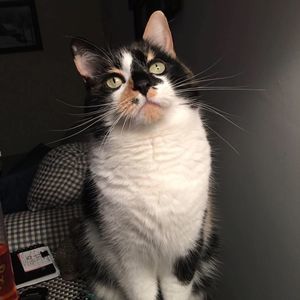 Meet your Posher, Sheila